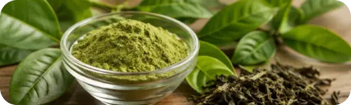 Green Tea Leaf