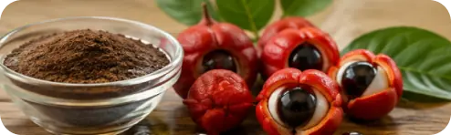 Guarana Seed